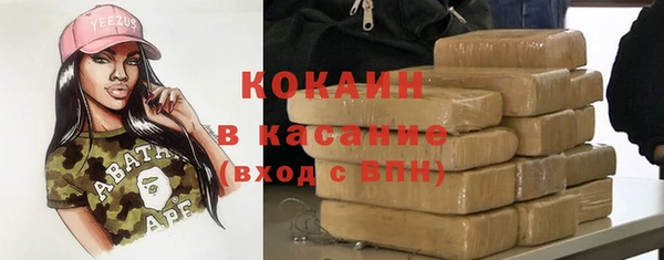 шишки Алзамай