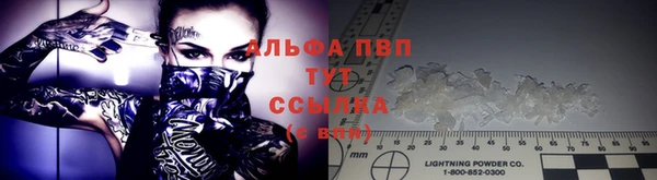 шишки Алзамай
