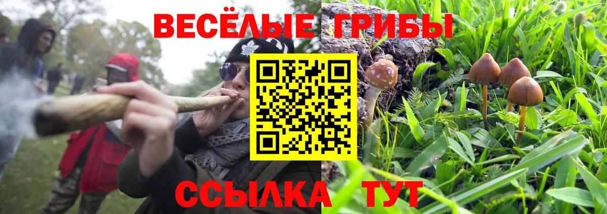 Псилоцибиновые грибы GOLDEN TEACHER Всеволожск