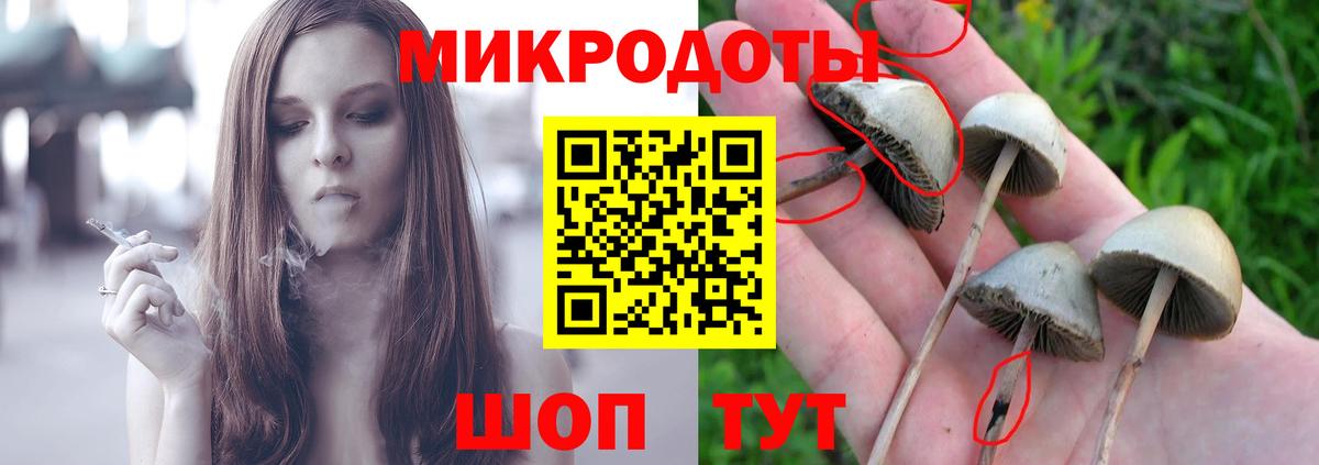 Псилоцибиновые грибы прущие грибы  Псилоцибиновые грибы MAGIC MUSHROOMS  Всеволожск  купить наркотик  Вход с VPN 
